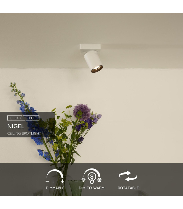 Nigel Modern Ceiling Spotlight-2