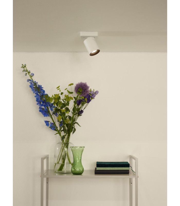 Nigel Modern Ceiling Spotlight-4