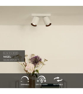 Nigel Modern Ceiling Spotlight-2