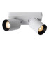 Nigel Modern Ceiling Spotlight-5