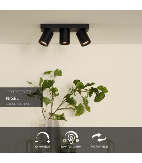 Nigel Modern Ceiling Spotlight-2
