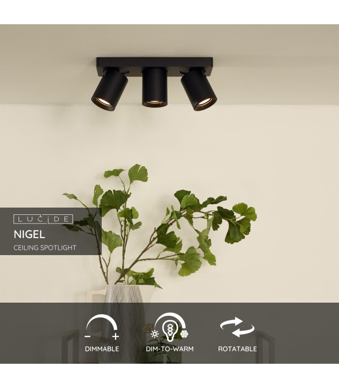 Nigel Modern Ceiling Spotlight-2