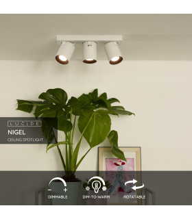 Nigel Modern Ceiling Spotlight-2