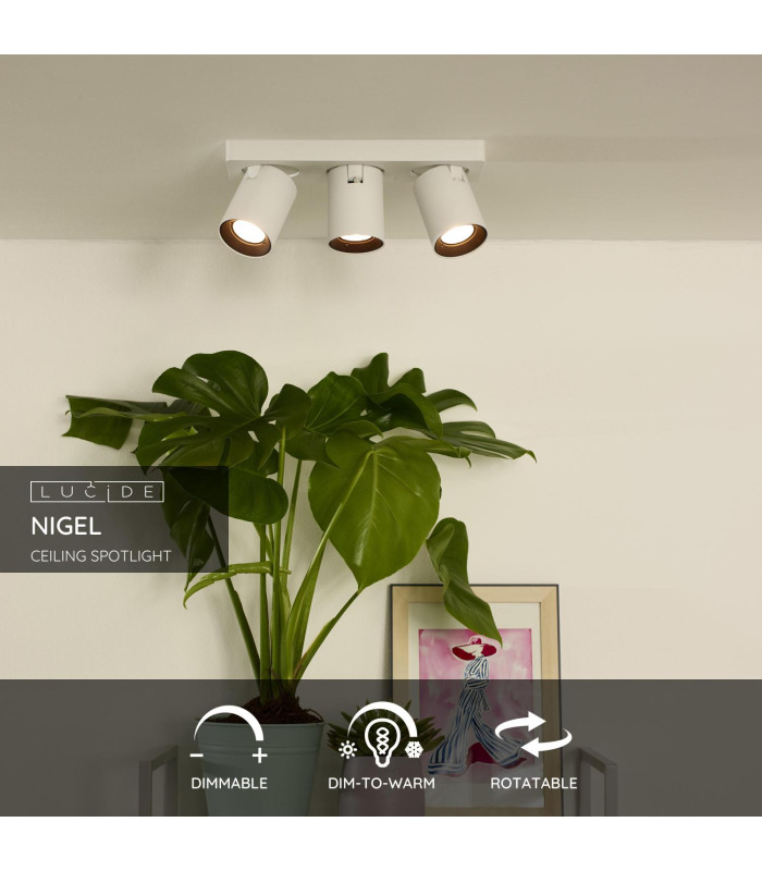 Nigel Modern Ceiling Spotlight-2