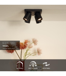 Nigel Modern Ceiling Spotlight-2