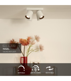 Nigel Modern Ceiling Spotlight-2