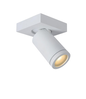Taylor Modern Ceiling Spotlight Bathroom-1