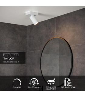 Taylor Modern Ceiling Spotlight Bathroom-2