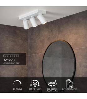Taylor Modern Ceiling Spotlight Bar Bathroom-2