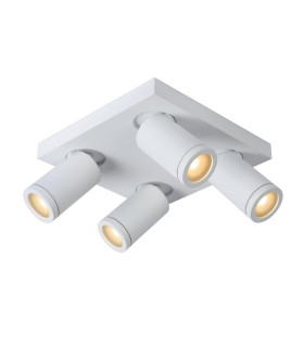Taylor Modern Ceiling Spotlight Bathroom-1