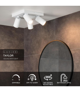 Taylor Modern Ceiling Spotlight Bathroom-2