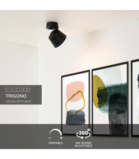 Trigono Modern Ceiling Spotlight-2
