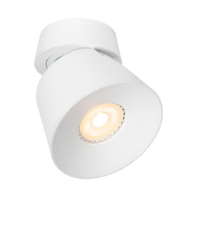 Trigono Modern Ceiling Spotlight-1