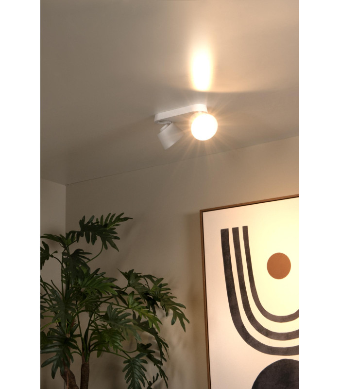 Trigono Modern Twin Ceiling Spotlight-5