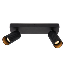 Clubs Modern Twin Ceiling Spotlight-1