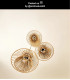 Tasman Scandinavian Cluster Pendant Light - 3xE27 - Light Wood