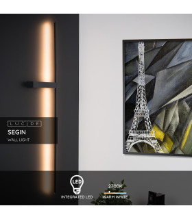Segin Modern Wall Light-2