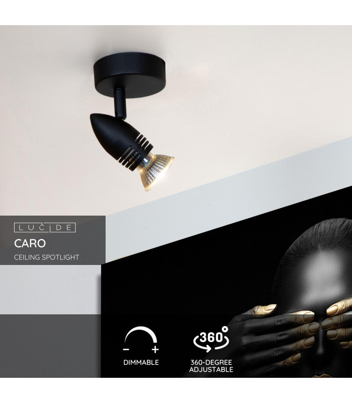 Caro Modern Ceiling Spotlight-2
