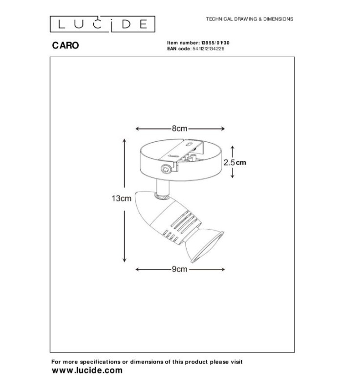 Caro Modern Ceiling Spotlight-6