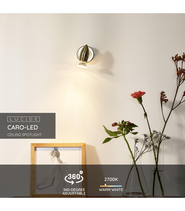 Caro-Led Modern Ceiling Spotlight-2