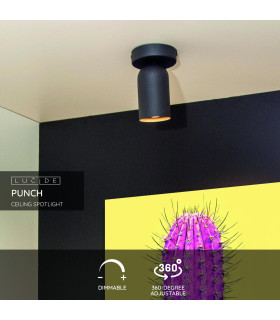 Punch Classic Wall Spotlight-2