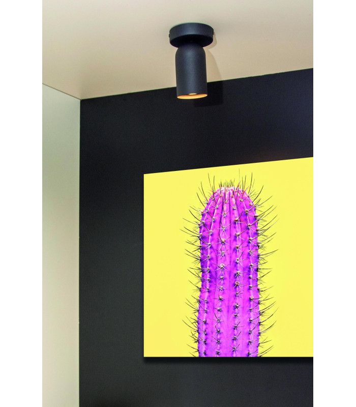 Punch Classic Wall Spotlight-4