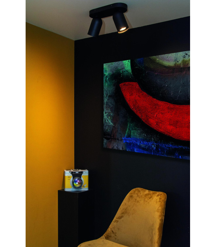 Punch Classic Twin Ceiling Spotlight-4