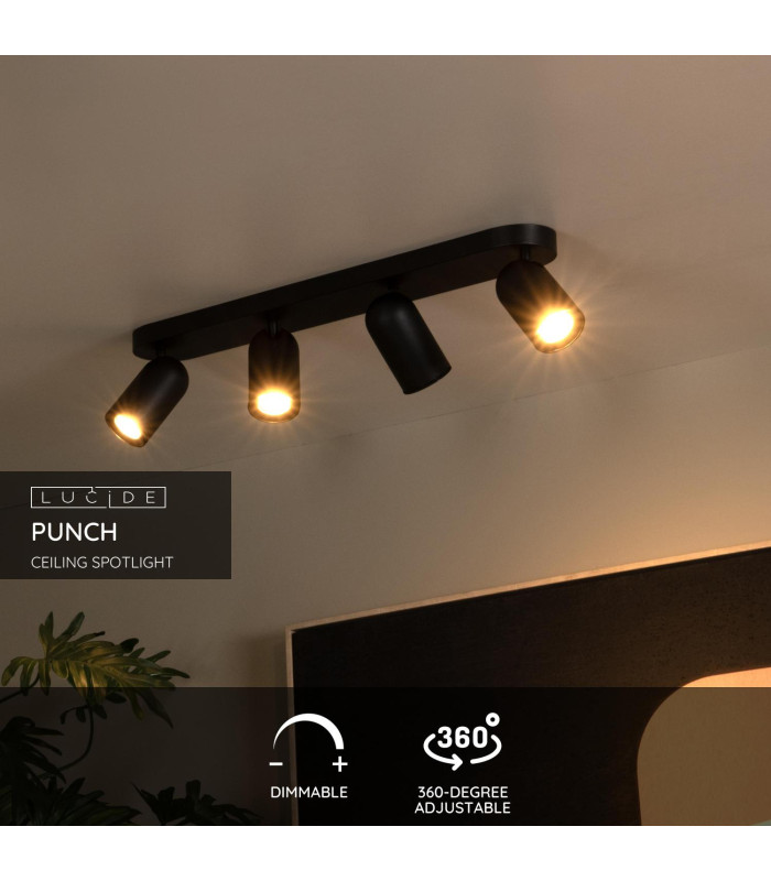 Punch Classic Ceiling Spotlight Bar-2