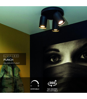 Punch Classic Ceiling Spotlight-2