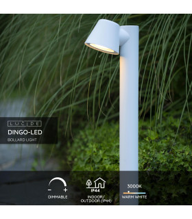 Dingo-Led Modern Bollard Light Outdoor-2