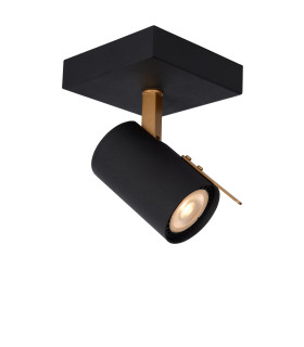 Grony Modern Ceiling Spotlight-1