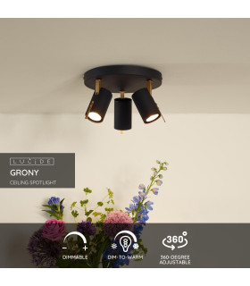 Grony Modern Ceiling Spotlight-2