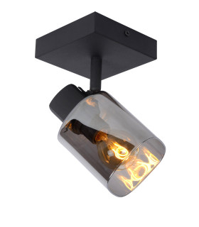 Alion Classic Ceiling Spotlight-1