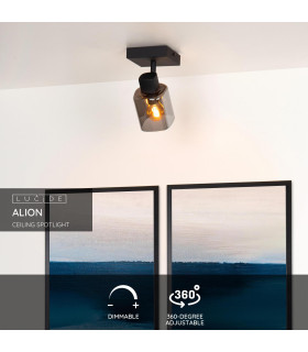 Alion Classic Ceiling Spotlight-2