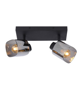 Alion Classic Twin Ceiling Spotlight-1