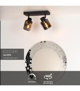 Alion Classic Twin Ceiling Spotlight-2