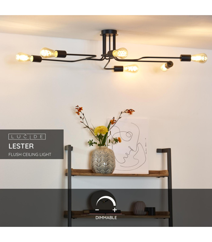 Lester Classic Flush Ceiling Light-2