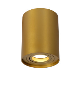 Tube Modern Surface Mounted Ceiling Spotlight-1