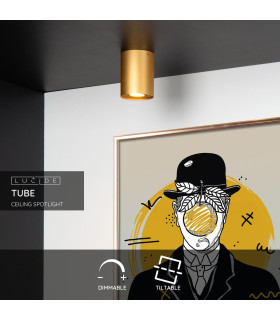 Tube Modern Surface Mounted Ceiling Spotlight-2