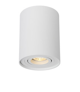 Tube Modern Surface Mounted Ceiling Spotlight-1