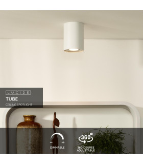 Tube Modern Surface Mounted Ceiling Spotlight-2