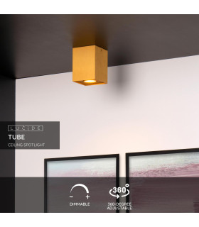 Tube Modern Surface Mounted Ceiling Spotlight-2
