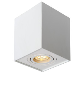 Tube Modern Surface Mounted Ceiling Spotlight-1