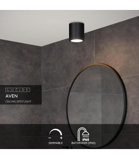 Aven Modern Surface Mounted Ceiling Spotlight Bathroom-2