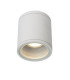 Aven Modern Surface Mounted Ceiling Spotlight Bathroom-1