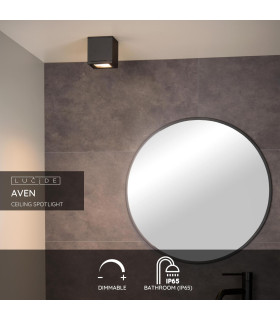 Aven Modern Surface Mounted Ceiling Spotlight Bathroom-2