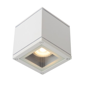 Aven Modern Surface Mounted Ceiling Spotlight Bathroom-1
