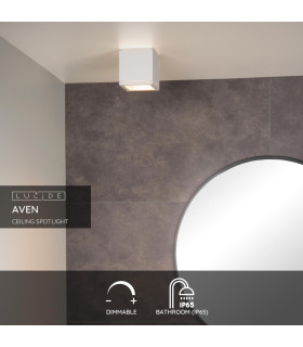 Aven Modern Surface Mounted Ceiling Spotlight Bathroom-2