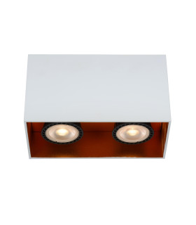 Bido Modern Surface Mounted Ceiling Spotlight-1