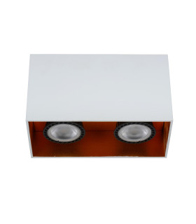 Bido Modern Surface Mounted Ceiling Spotlight-2